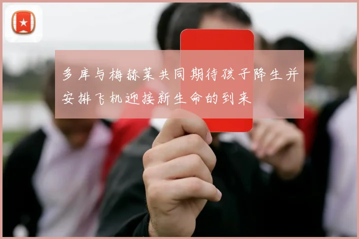 多库与梅赫莱共同期待孩子降生并安排飞机迎接新生命的到来